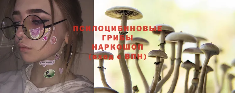 Галлюциногенные грибы Magic Shrooms  Ефремов 